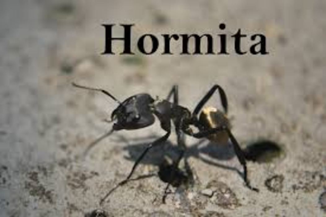 Hormita